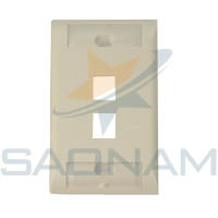 Faceplate_2_port_standard